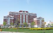 天津外国语大学滨海外事学院理科专业排名，盘点最好专业