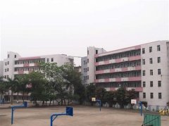 志愿填报:茂名职业学院是公办还是民办大专？