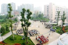 填报问题:成都职业学院是公办还是民办专科？