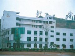 填报问题:广安职业学院是公办还是民办大专？