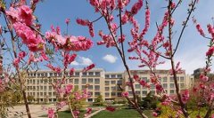 志愿填报:北京电子科技职业学院是公办还是民办专科？