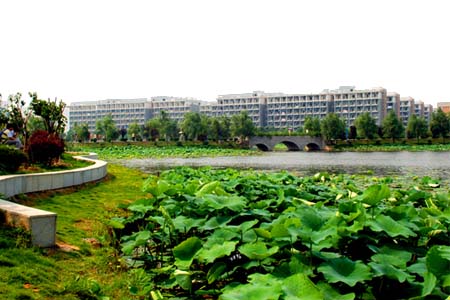 武汉科技大学校园图片