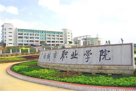 广西城市职业学院一分一段高考成绩排名位次表(各省)