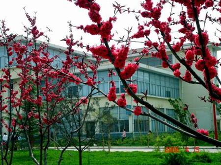 3所工业分析技术专业较好的淄博大学