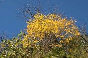 2017澳大利亚大学排名[USNEWS]