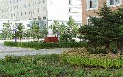 长春理工大学光电信息学院综合排名第1