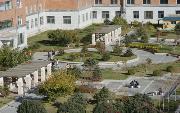 长春工业大学人文信息学院什么专业好就业？