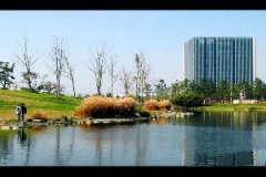 2015同济大学最新排名