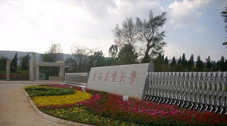 云南高考450分能上什么大学？