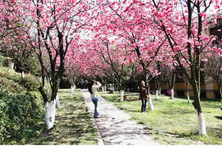 玉溪师范学院图片