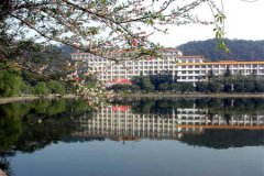 福建农林大学有哪些一本文科专业？