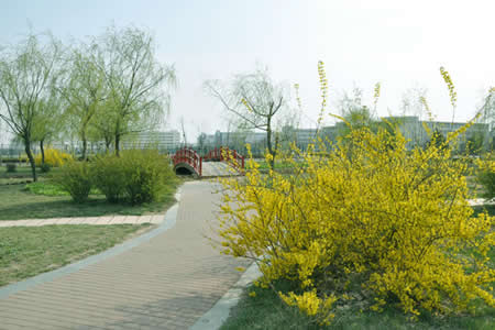 临沂大学招生网