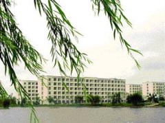 滁州学院有哪些二本理科专业？