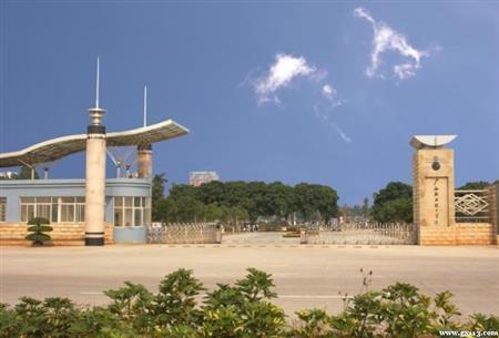 2019高考290分在广西能上什么大学？