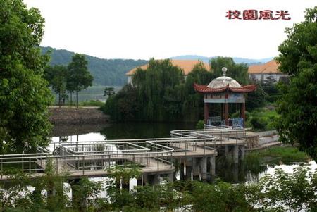 湖北开放职业学院