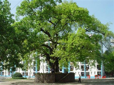 宜宾专科大学分数线多少？见2019宜宾专科最低分数线