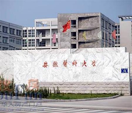 2019安徽理科高考560分能上什么大学？