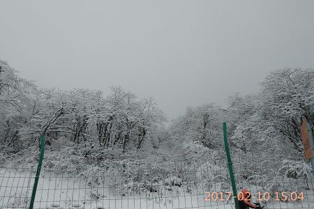 补钙食谱——虾蛋饼