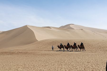 医学生物技术专业详解及就业方向