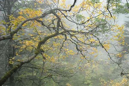 四川开设护理（非医药卫生类）专业的中职学校有哪些？就业怎样？