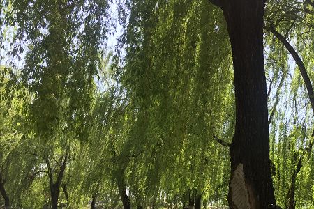 重庆超过专科分数线30分报什么大学好[理科]?