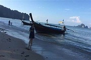 高中生物免费在线测试题第77套，测您能得多少分？