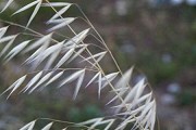 孟子-珠玉者，殃必及身-古文翻译