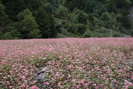 毕节幼儿师范高等专科学校一分一段位次排名表(各省)