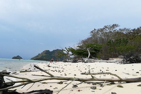 2017兰州交大专科分数线多少？