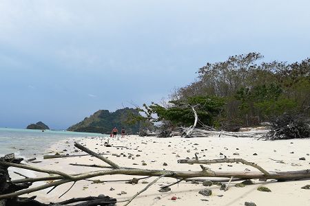 江苏卫生健康职业学院2019年学费多少？（含助学奖励政策）