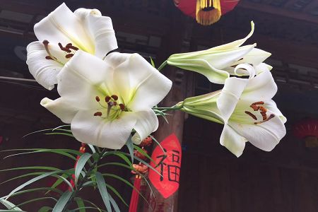 2017上海城建职院各省理科分数线多少？